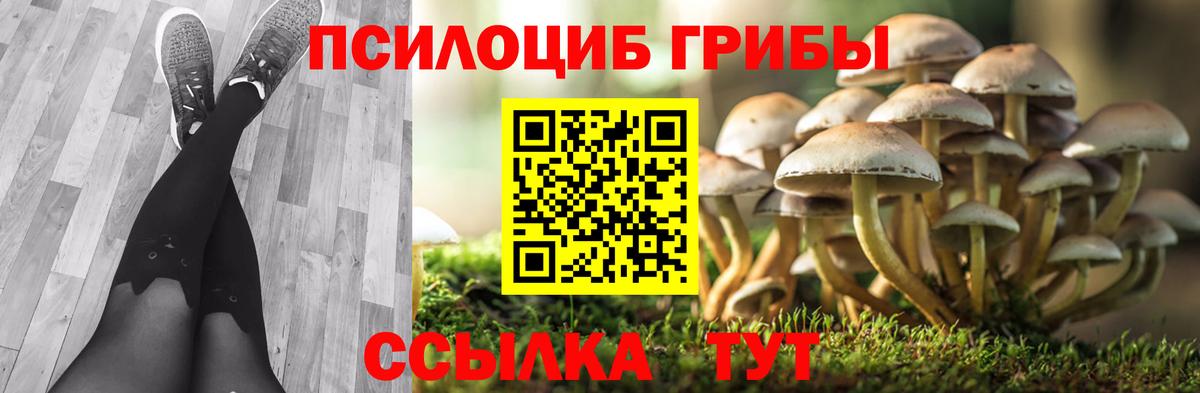 Канск  Псилоцибиновые грибы GOLDEN TEACHER  Галлюциногенные грибы Cubensis  Вход с VPN 